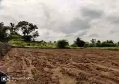 Banner Image for SBN Mission Human Park