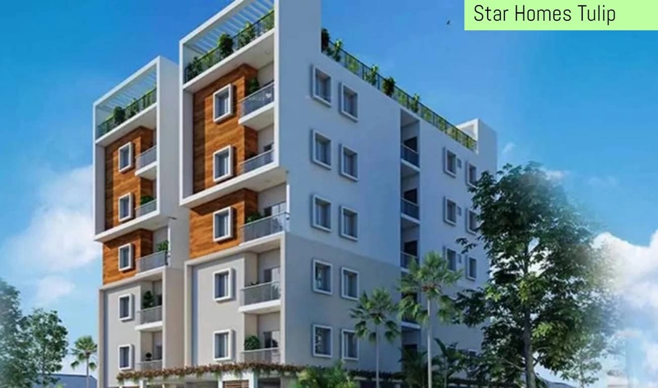 Banner Image for Star Homes Tulip