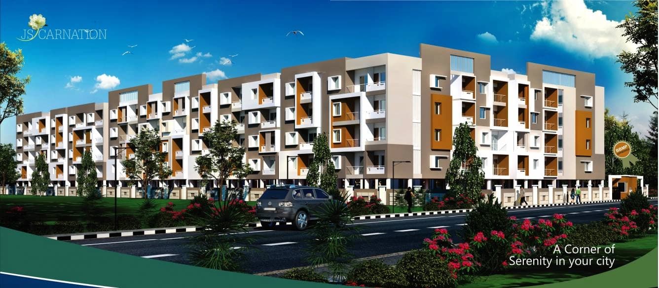 Banner Image for JS Carnation