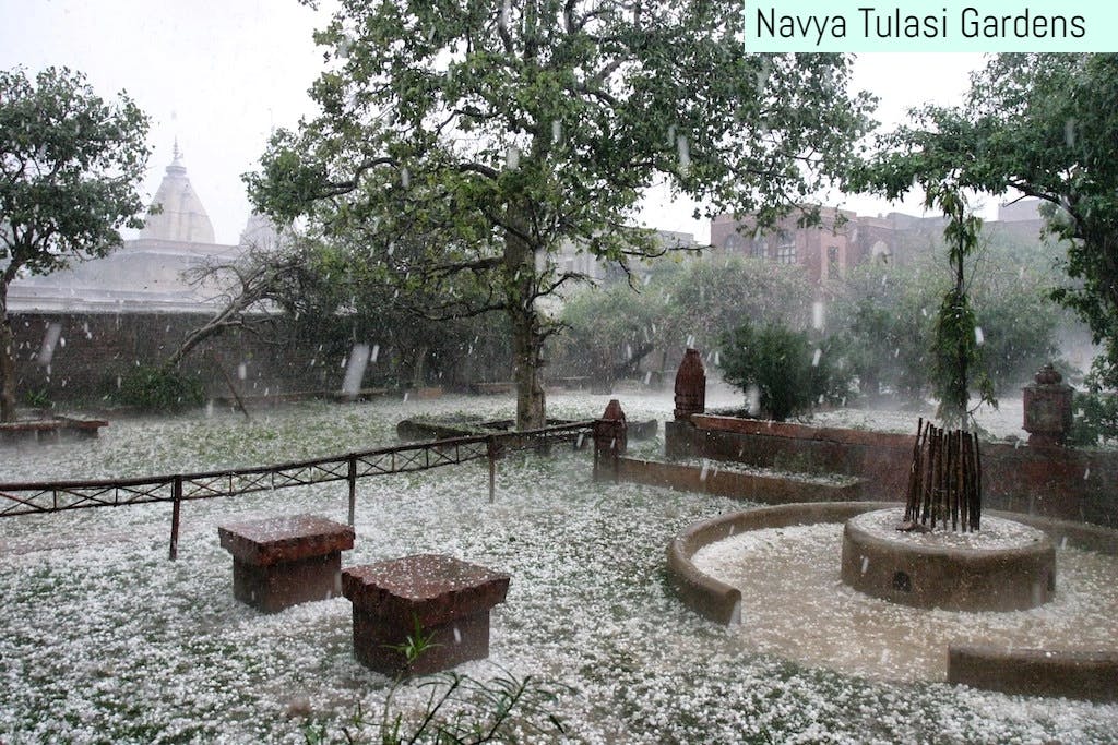 Banner Image for Navya Tulasi Gardens