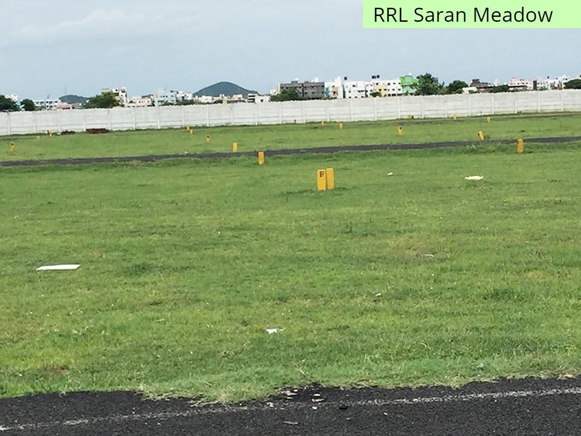 Banner Image for RRL Saran Meadow