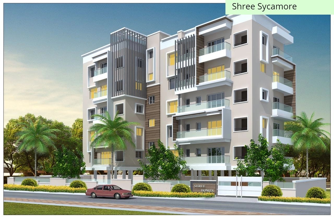 Banner Image for Shree Sycamore